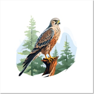 Kestrel Posters and Art